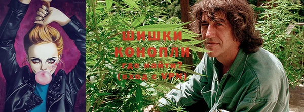дурь Переславль-Залесский