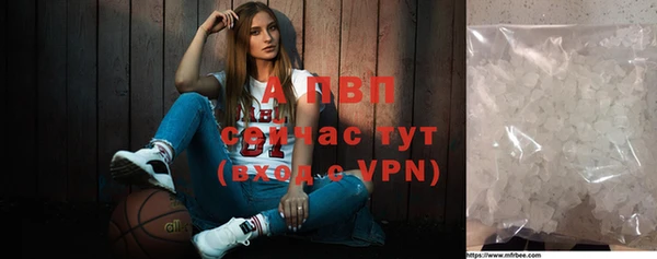 дмт Пестово
