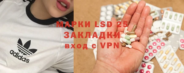 твердый Пересвет