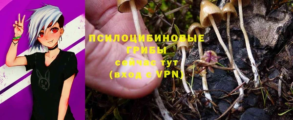 MDMA Premium VHQ Арсеньев