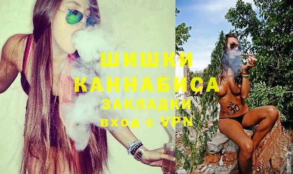дмт Пестово
